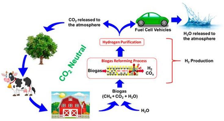 CO₂ 포함 바이오가스 리포밍 그린수소 생산 기술
